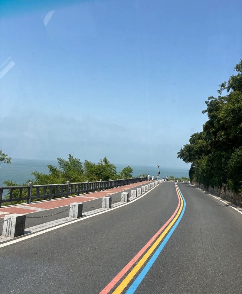 Red Road Marking Paint high quality